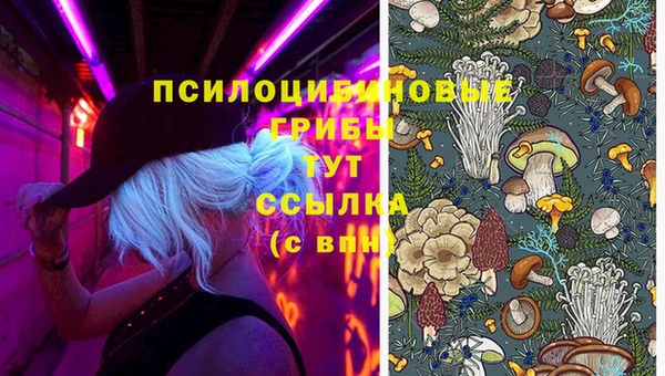 ГАЛЛЮЦИНОГЕННЫЕ ГРИБЫ Козельск